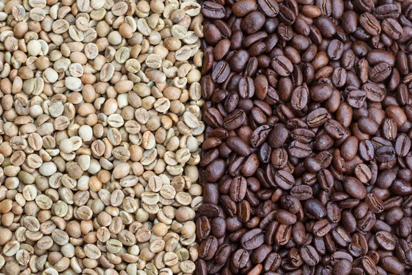 緑とローストのコーヒー豆 ストック画像