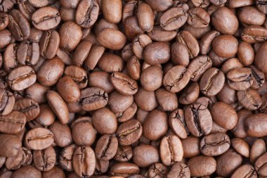 Arka planı, sınıf arabica olarak kavrulmuş kahverengi kahve çekirdekleri 