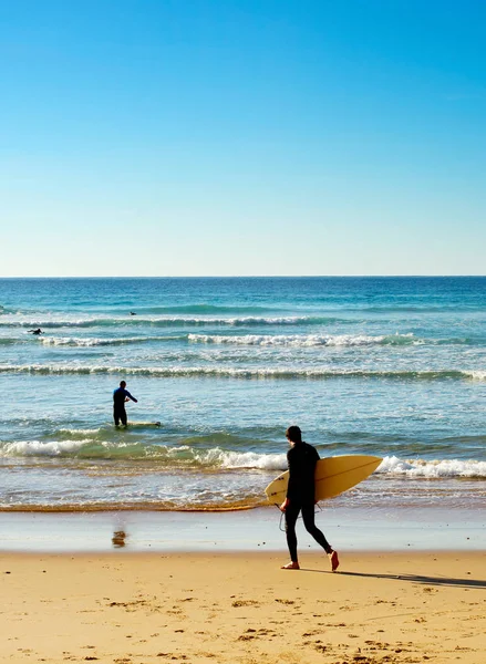Surfers με ιστιοσανίδες πηγαίνοντας προς τον ωκεανό — Φωτογραφία Αρχείου