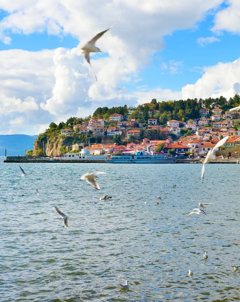 Scena jeziora Ohrid, Macedonia — Zdjęcie stockowe