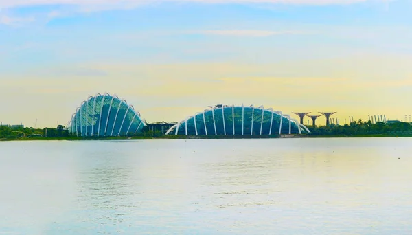 Сад у залива, Сингапур — стоковое фото