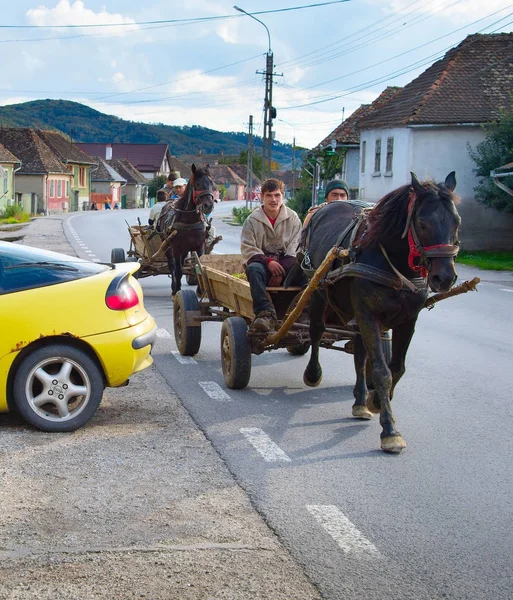 Rumanos conduciendo carro de caballos — Foto de Stock