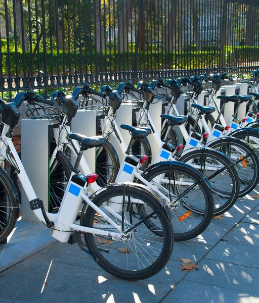 Lots of bycicles for rent — Stock Photo, Image