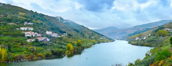 葡萄牙波尔图葡萄酒 wineyards 地区 — 图库照片