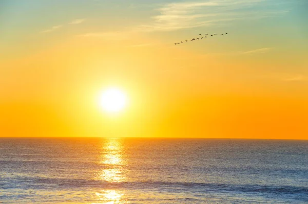 海洋日落, 葡萄牙 — 图库照片