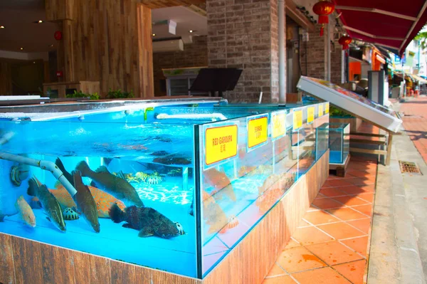 Fish restaurant in Singapore — Stock Photo, Image