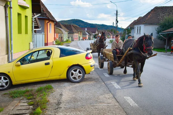 人運転の馬のカート。ルーマニア ロイヤリティフリーのストック写真