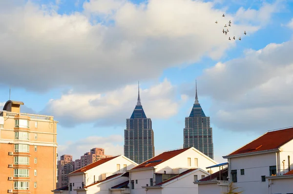 Fåglar flyger över Shanghai — Stockfoto