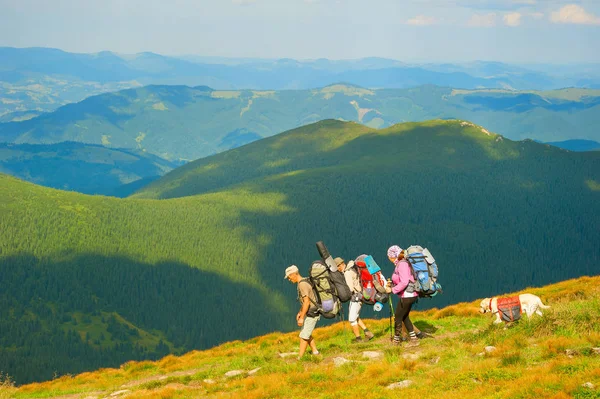 Grupp av vandrare på berg — Stockfoto