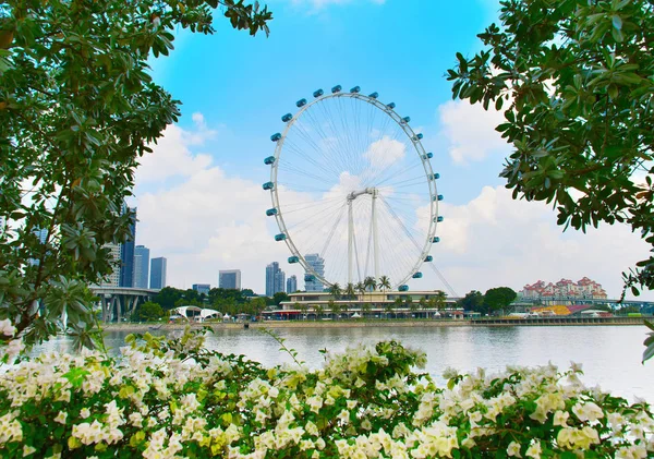 Singapore Ruota panoramica — Foto Stock