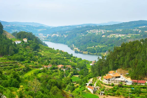 Krajobraz Regionu Douro Wina Słoneczny Dzień Portugalia — Zdjęcie stockowe