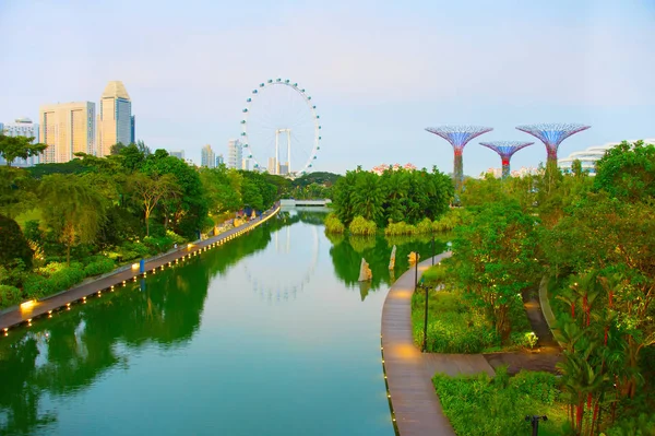 View Singapore Tropical Park Gardens Bay Singapore Flyer Backgroun — Stock Photo, Image