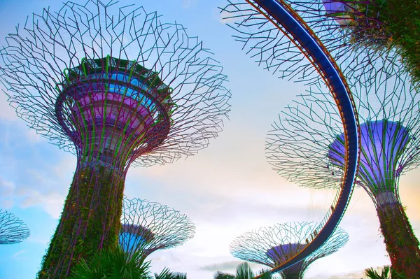 シンガポール 2017 が湾に面した庭園の橋の上を歩いてします ガーデン ベイは世界の建築フェスティバルで 今年の世界の建物を戴冠 — ストック写真