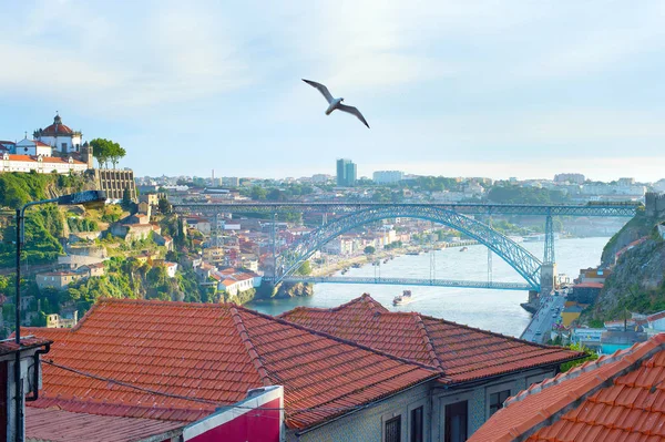 Vista Porto Com Famosa Ponte Dom Luis Gaivota Voadora Portugal — Fotografia de Stock