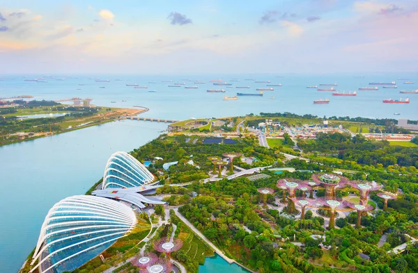 Singapur Şubat 2107 Bahçe Körfezi Singapur Liman Tarafından Hava Görünümünü — Stok fotoğraf
