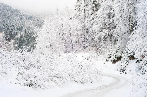 Camino Invierno Congelado Las Montañas Cárpatos Cubiertas Nieve —  Fotos de Stock