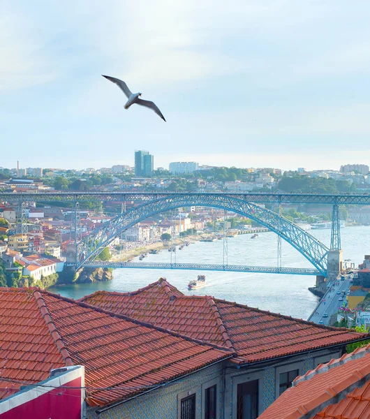 Άποψη Του Πόρτο Διάσημη Γέφυρα Dom Luis Και Φέρουν Γλάρος — Φωτογραφία Αρχείου