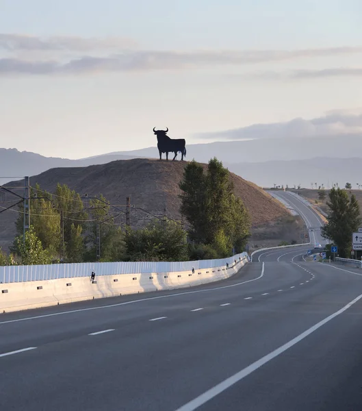 スペインの道路に沿って伝統的な黒牛 スペイン — ストック写真
