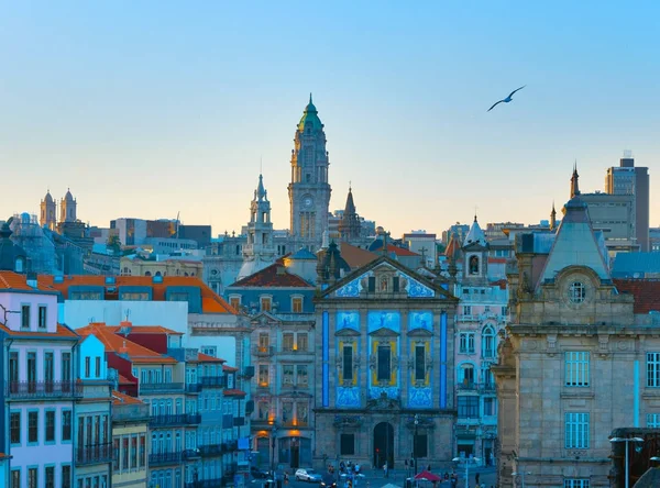 波尔图老城的天际线与波尔图大厅和海鸥在天空飞翔 葡萄牙 — 图库照片