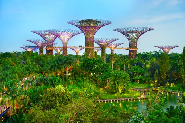 Cingapore Jan 2017 Vista Crepúsculo Jardins Junto Baía Jardins Pela — Fotografia de Stock
