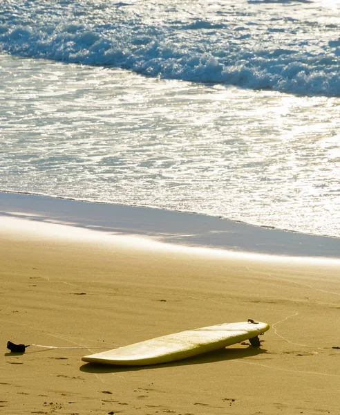 A prancha de surf na praia. Surf — Fotografia de Stock