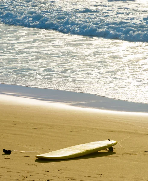 Surfboard on the beach. Surfing — Stock Image Surfboard on the beach. Surfing Royalty Free Stock Images