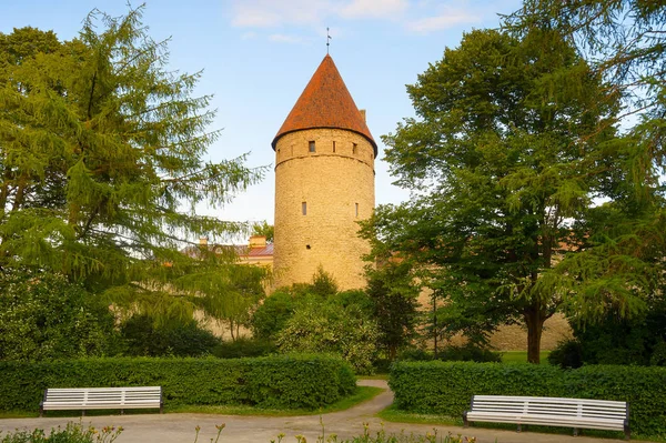 Parque Fortaleza Cidade Velha Tallin — Fotografia de Stock