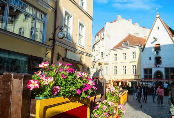 Blommor, gamla stan, Tallinn, Estland — Stockfoto