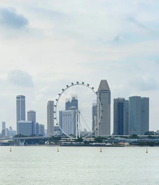 Panorama Del Centro Singapur Con Singapore Flyer Desde Presa Marina — Foto de Stock