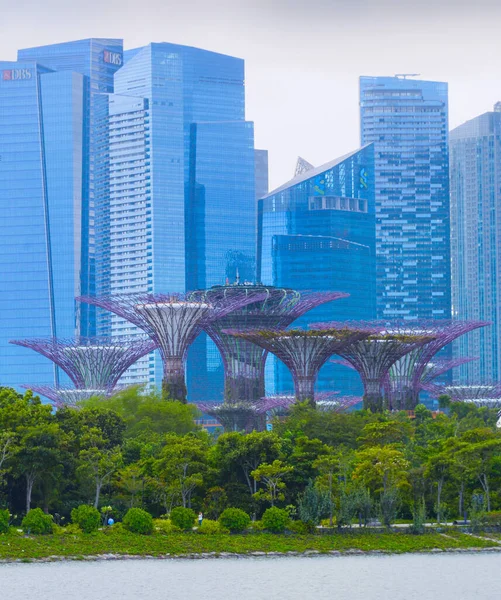 Singapore Febbraio 2017 Singapore Downtown Core Skyline Con Giardini Vicino — Foto Stock