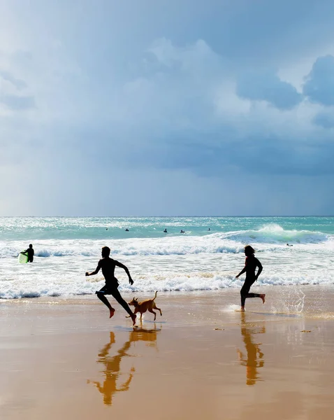 Sylwetka Ludzi Bawią Się Psem Plaży Algarve Portugalia — Zdjęcie stockowe