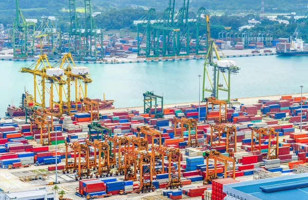 シンガポール貿易港 貨物コンテナ 貨物クレーン ドックとストレージ 船舶やタンカーと港の空中ビュー — ストック写真