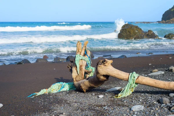 その上に漁網を持つビーチの古い木 ポルトガルのマデイラ島 — ストック写真