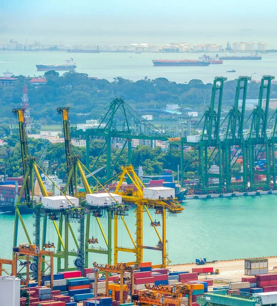 Singapore Commercial Port Shipping Containers Freight Cranes Cargo Equipment Skyline — Stock Photo, Image