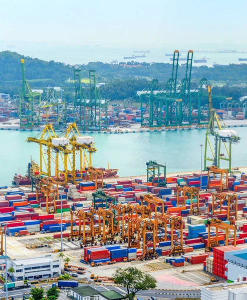 Aerial View Singapore Trade Port Heavy Equipment Cargo Containers Freight — Stockfoto