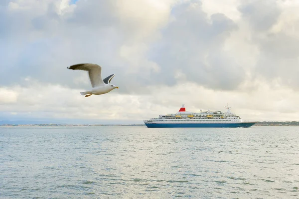 Plavební Loď Létající Racek Řeky Tagus Lisabon Portugalsko — Stock fotografie