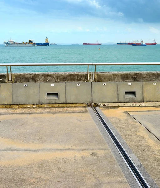 新加坡港口 背景中的工业货轮 — 图库照片