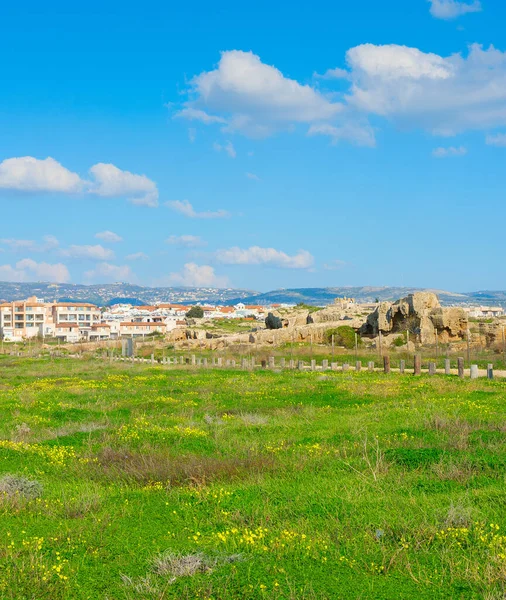 Skyline Pafos Zielonym Polem Mozaiki Pafos Pierwszym Planie Cypr — Zdjęcie stockowe