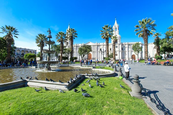 Plaza principal de Arequipa con iglesia —  Fotos de Stock