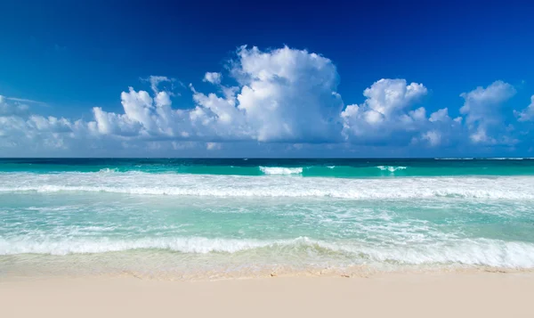 Blauwe Caribische zee strand — Stockfoto