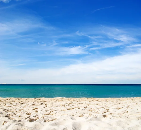 Spiaggia del mare dei fagioli rossi — Foto Stock