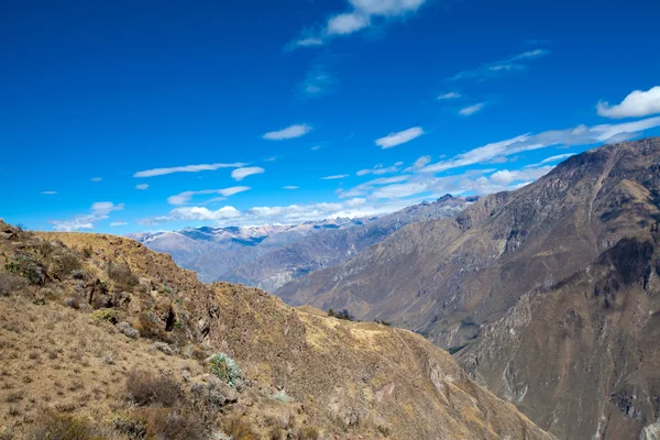 Cañón Colca en Perú — Foto de Stock