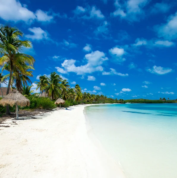 Beach and tropical sea — Stock Photo, Image