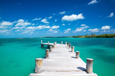 plaj ve tropikal deniz