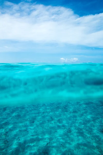 Tranquila escena submarina — Foto de Stock