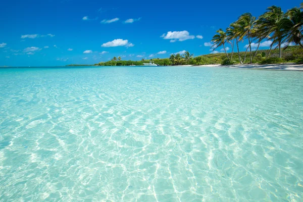 Praia e mar tropical — Fotografia de Stock