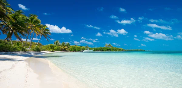 Beach and tropical sea — Stock Photo, Image