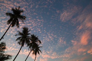 günbatımı gökyüzü arkaplanı