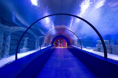 Oceanarium sualtı tüneli
