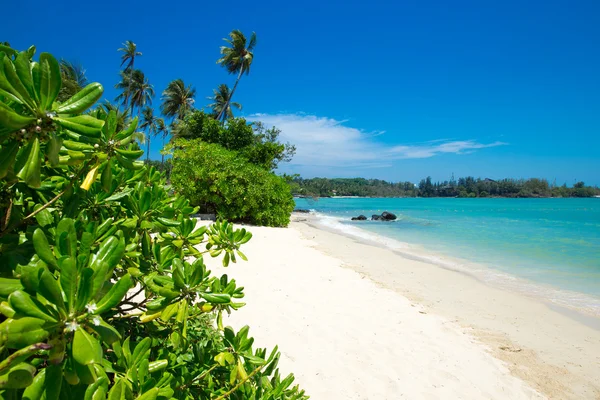 Playa y mar tropical — Foto de Stock